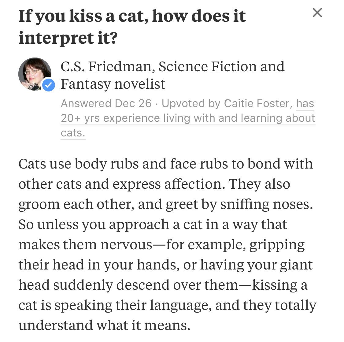 Kiss your cats 💕😘🐱