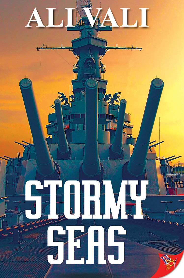 Out today. If you've been waiting for the sequel to "Blue Skies" wait no more. Want one? Go to boldstrokesbooks.com