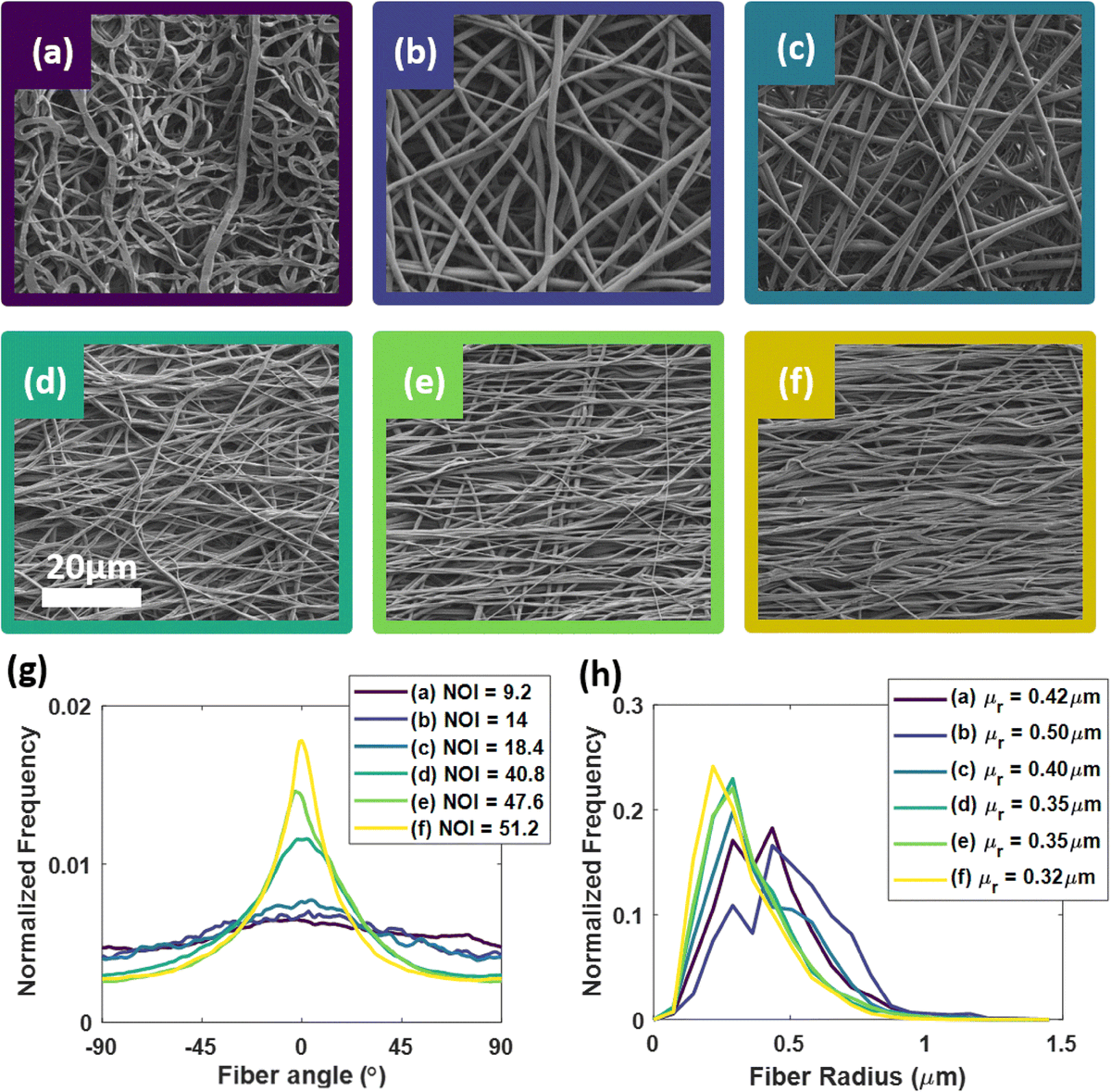 ABMEjournal's tweet photo. Congratulations to Will Goth for having his article on reflectance imaging for collagen fiber organization in heart valves featured on our May cover! @UTBiomedical @utmechengr @OdenInstitute @CPRITTexas @NIBIBgov @nih_nhlbi @BMESociety @SpringerNature

https://t.co/xy4iRtcQes https://t.co/TvZccLd9aE