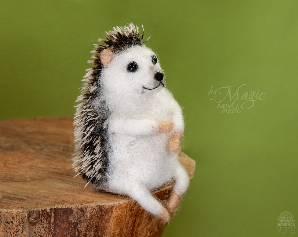 byMagicHandmade's tweet image. Hey! Do you want to hug this little guy? 😉 I'm running a little sale in my Etsy shop. Just check it etsy.me/2JeqV9L
#HandmadeHour #onlinecraft #Etsy #hedgehog