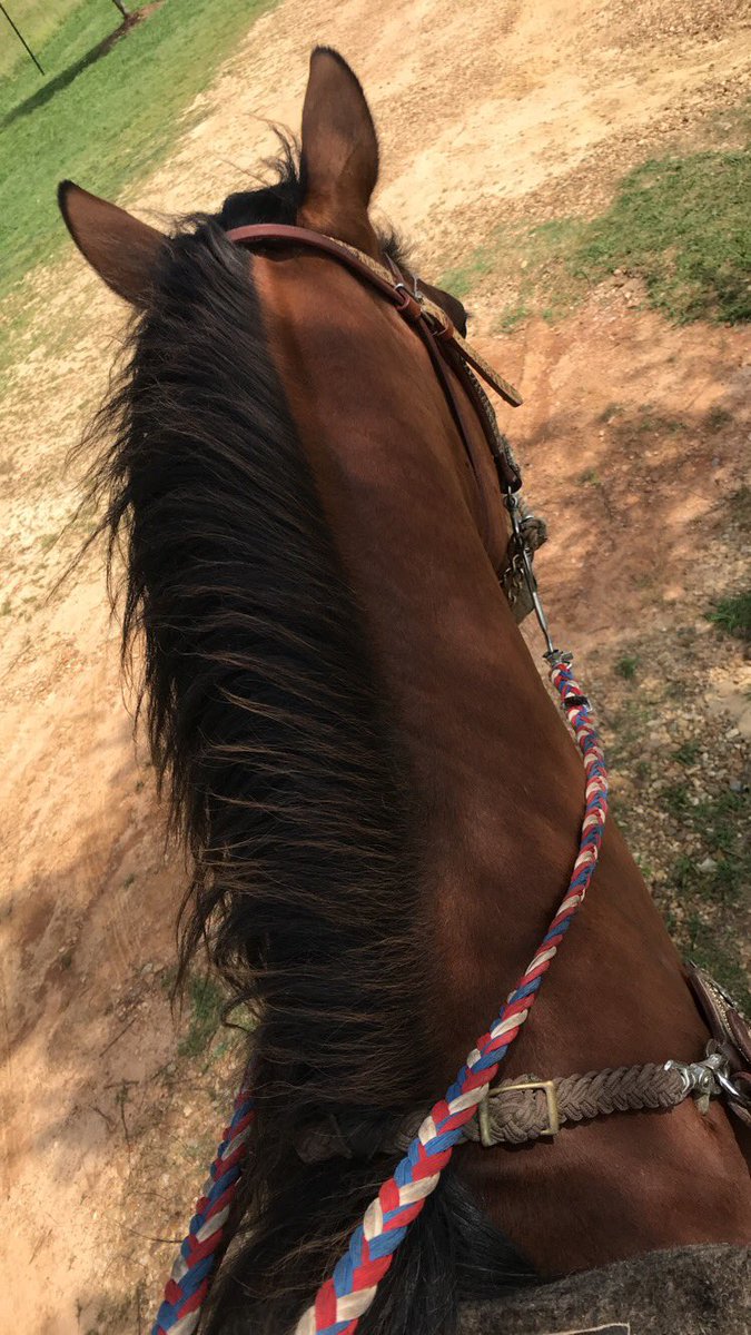 ashlyn__turnbow's tweet image. Got back on my bad boy yesterday, attempting getting on patsy today ☺️. We will be at the Ag Saturday 💕. #firstshowback