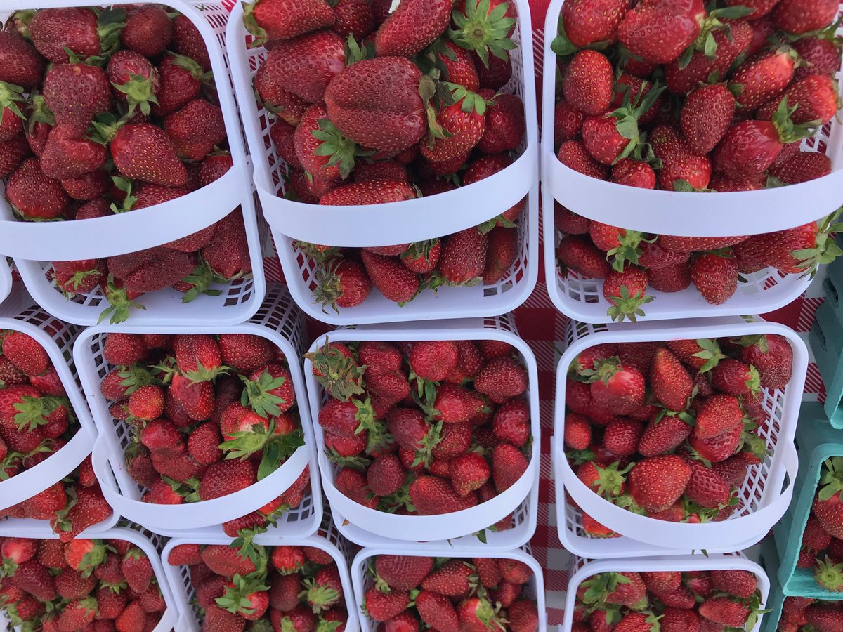 Come one come All. Greene Street Market opens for the season tomorrow!!  4-8pm. Tell everyone!!!