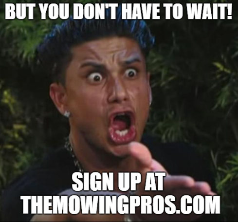 TheMowingPros's tweet photo. https://t.co/GutLt79cRP   #washingtondc #bowiemd #annapolismd #uppermarlboromd #oceancitymd #bethanybeachde #annearundelcountymd #pgcountymd #croftonmd #laurelmd #collegeparkmd #columbiamd #gambrillsmd #odentonmd #glenburniemd #pasadenamd #greenbeltmd #beltsvillemd #hyattsvillemd https://t.co/jYuZNCWPnD