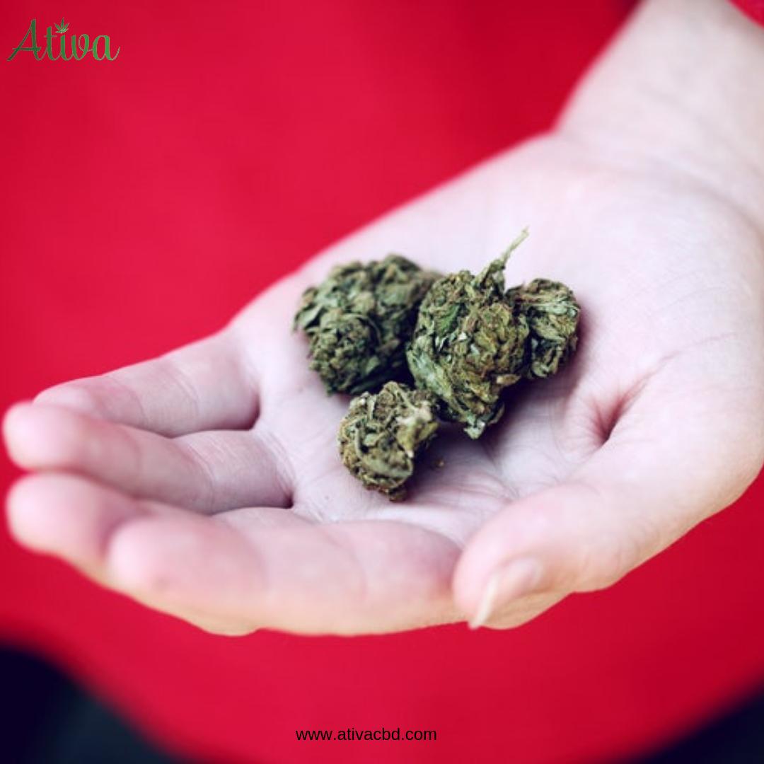 Ativacbd's tweet photo. CBD products are taking over the world and we're counting that as a good thing.
#stayhealthy #cbdoil #healthylife #wellness #healthylife #active #fitness #fit #exercise #sports #hemp #naturaloil #hempextract #ativacbdoil #cbdoilbenefit #cbduses https://t.co/tQSs3yTxWa