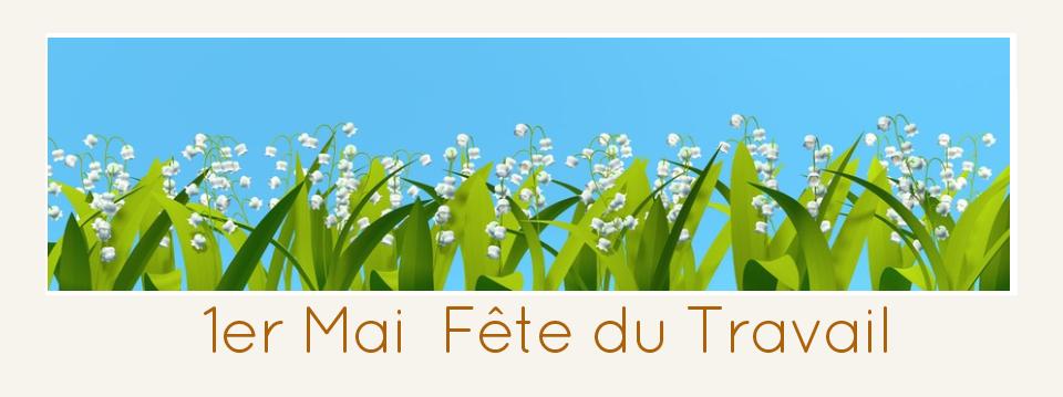 interacting tweet media