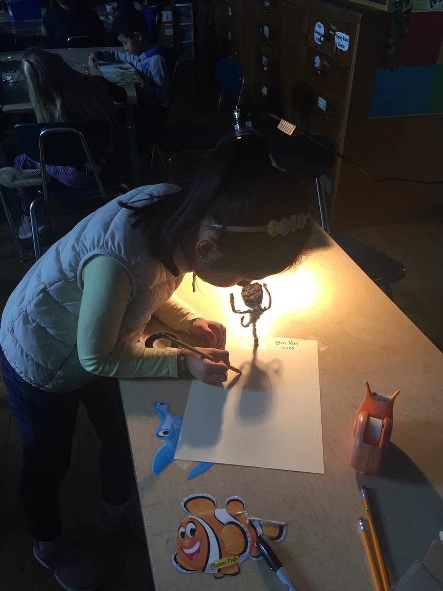 MrsSimmons159's tweet photo. 1-125 is working on their shadow projects! #159scientists @PS159_Q https://t.co/vJsv4SVpES