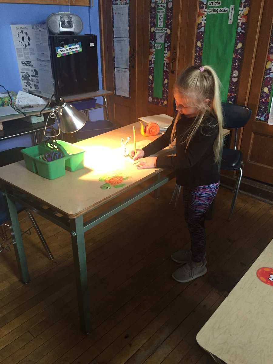 MrsSimmons159's tweet photo. 1-125 is working on their shadow projects! #159scientists @PS159_Q https://t.co/vJsv4SVpES