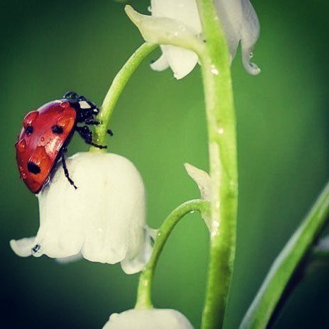 CreaForWeb's tweet image. Le bonheur est la seule chose qui se double si on le partage.