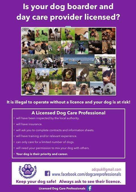 Dog Care Professionals UK tweet media
