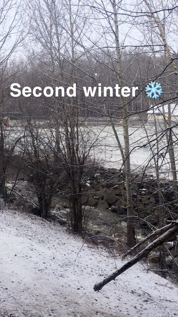 Dees_Gaming's tweet photo. Good morning ❄️ This snow here is starting to build up. Flakes are bigger and the mountain behind my house has disappeared 😂 #snow #spring #weather #goodmorning #Wednesday #CrappyNews #badweather #storm #Canada https://t.co/ju2IIasOGL