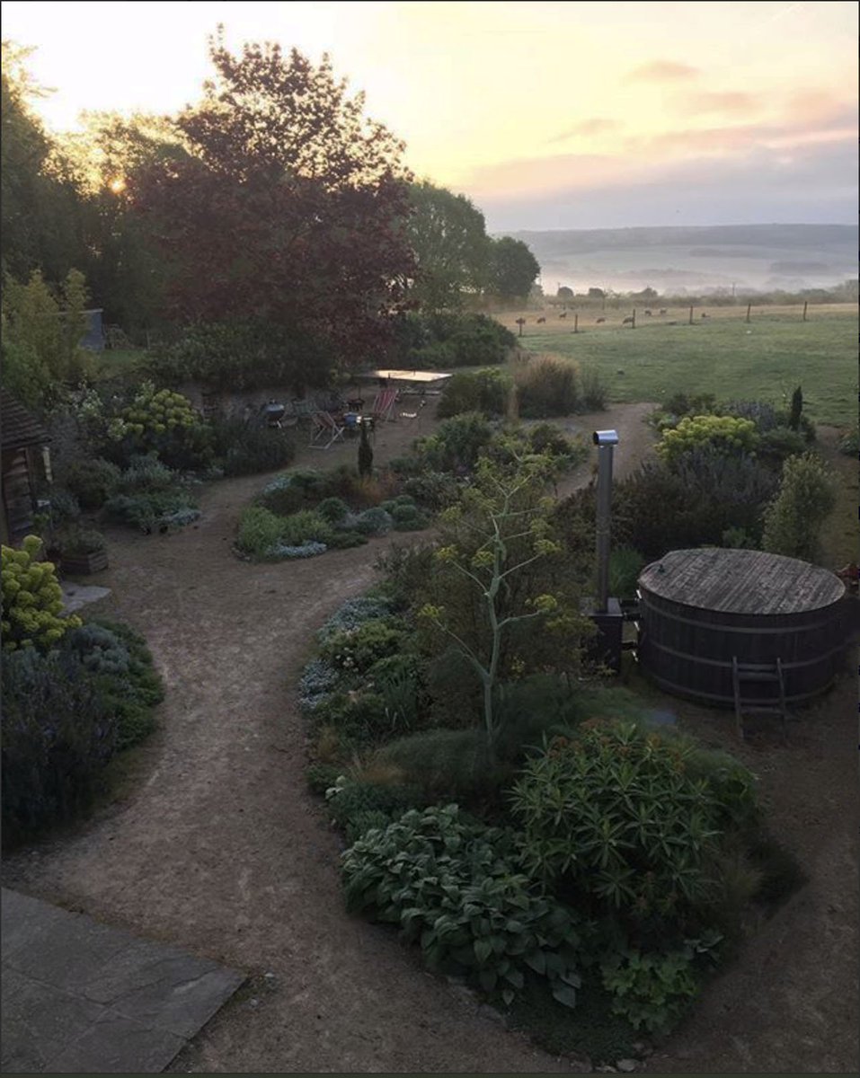 Adrian Clarke Photo tweet media