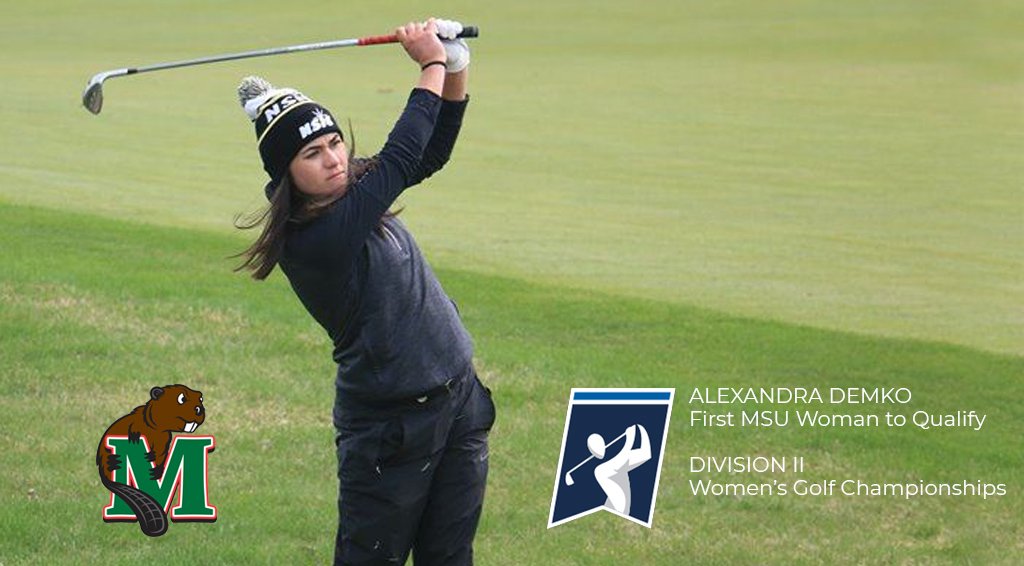 Minotstate's tweet photo. Just days after @msubeavergolf finished 3rd for their highest NSIC Championship finish in history, Alexandra Demko became the first Minot State women's golfer to qualify for the the NCAA Division II Women's Golf Championship. #tigersnottheonlybigdealingolf. https://t.co/efEOfY3gFY