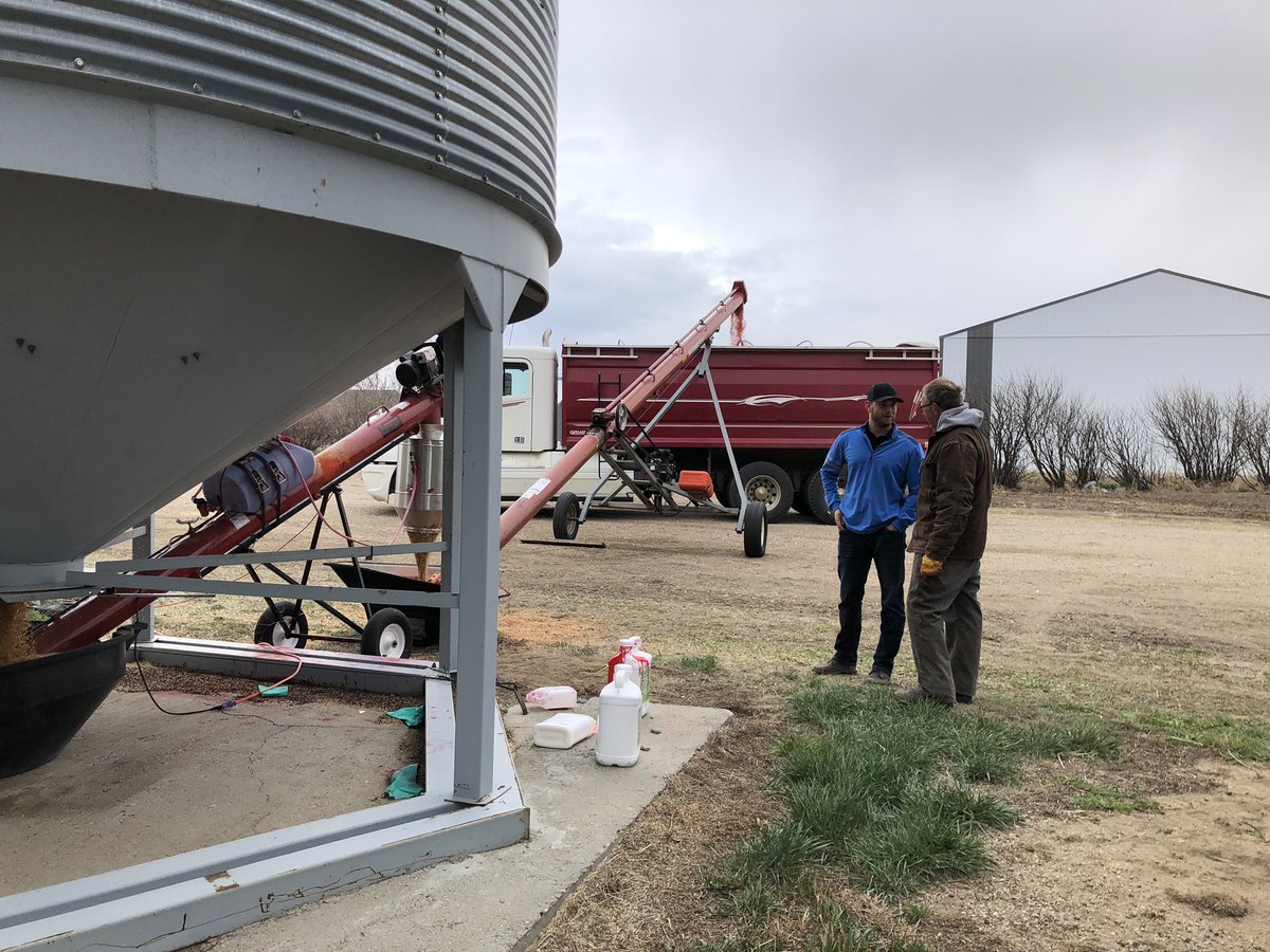 First trial getting going! #wireworm #seedtreat <a href="/CortevaCA/">Corteva Canada</a> @GMacsAgTeam
