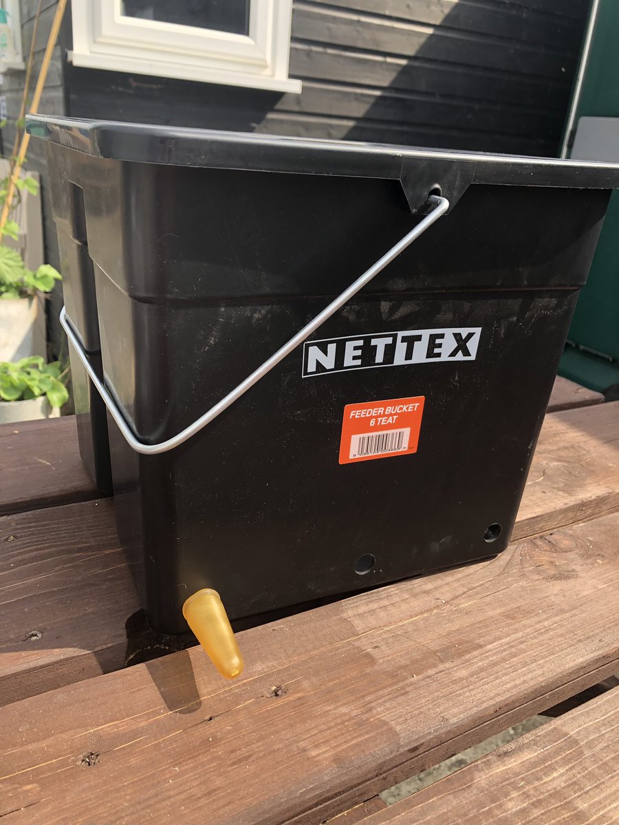CurlysFarm's tweet photo. Curly keeping a watchful eye on dad. He’s making sure I construct the lambs feeding bucket correctly
We have a new @NettexAgri lamb feeding bucket, hopefully the lambs on #CurlysFarm will appreciate it...I know I will!
#cadelamb #nettex #lamb #feedinglambs @curlyslegacy https://t.co/xeNoc33qqL