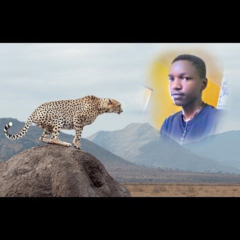 MarwaPriva's tweet photo. https://t.co/xyChgJfIa0