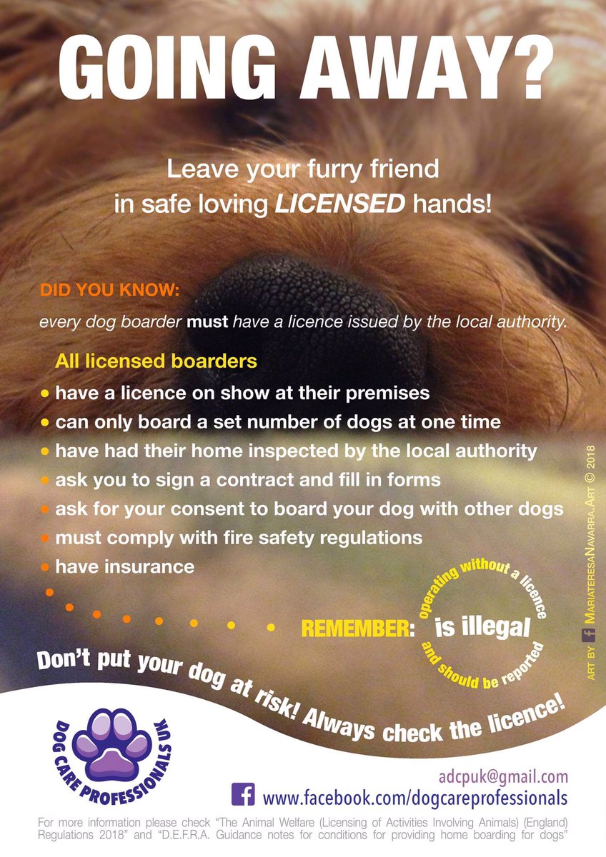 Dog Care Professionals UK tweet media