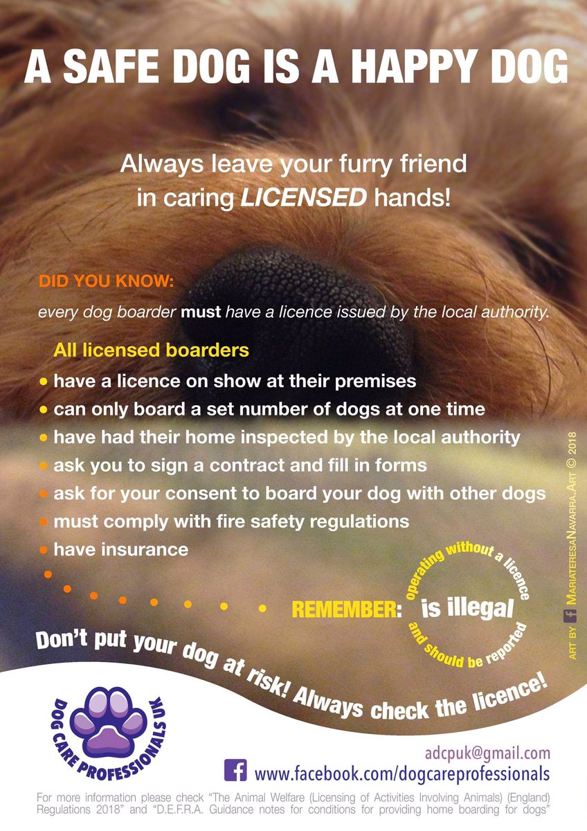 Dog Care Professionals UK tweet media