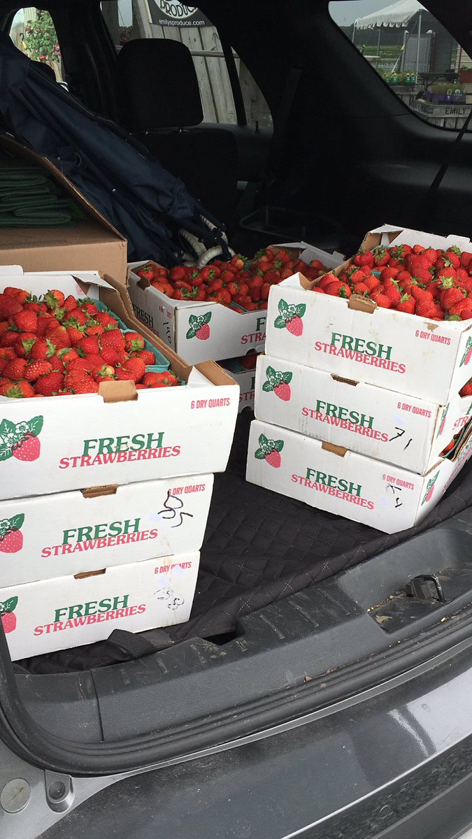 md_snapED's tweet photo. It’s Farmers Market season! Strawberries have arrived! #FSNE #EdibleABCs #MaxGoesToTheMarket https://t.co/bDzAW19RV5