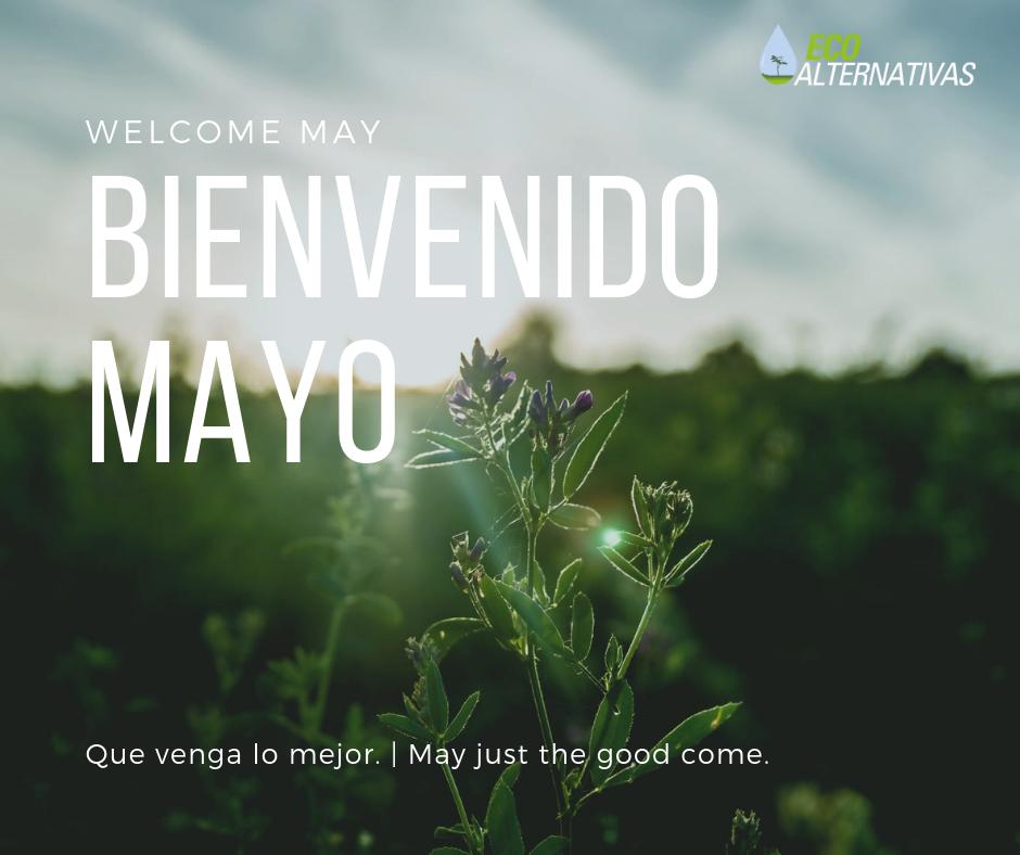 AlternativasEC's tweet photo. Bienvenido Mayo!

Que este sea un mes lleno de nuevas oportunidades que podamos aprovechar!

#nuevomes #mayo #nuevasoportunidades https://t.co/HDHm1Indt7