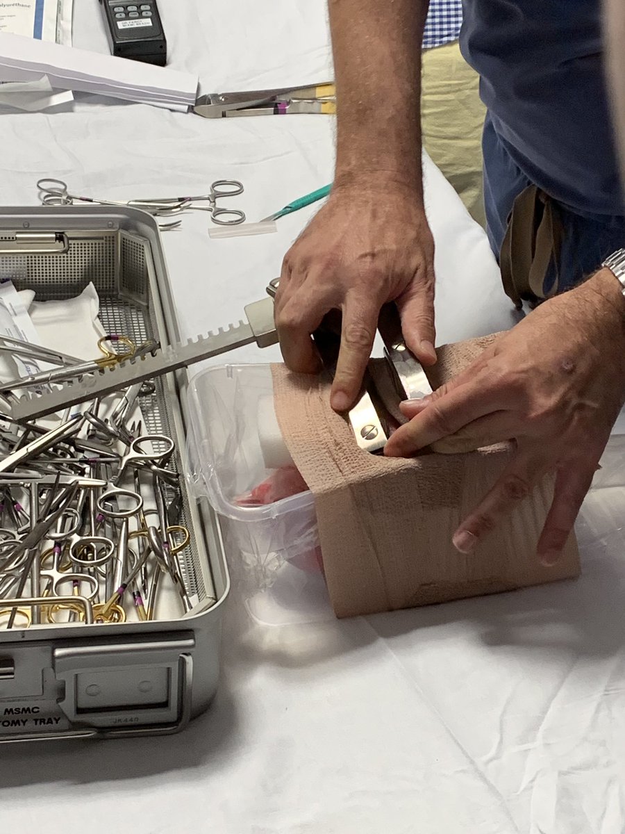 Amazing thoracotomy procedure lab with <a href="/DFarcy/">Damien Farcy</a> Big cut! Spread the ribs! Deliver the heart! Plug the hole! #EMConf <a href="/aaeminfo/">AAEM</a>