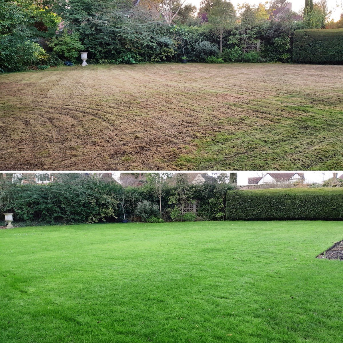Lawntechuk's tweet image. The power of a renovation program! #lawncare #lawntech #lawns #gardening #gardeningtips