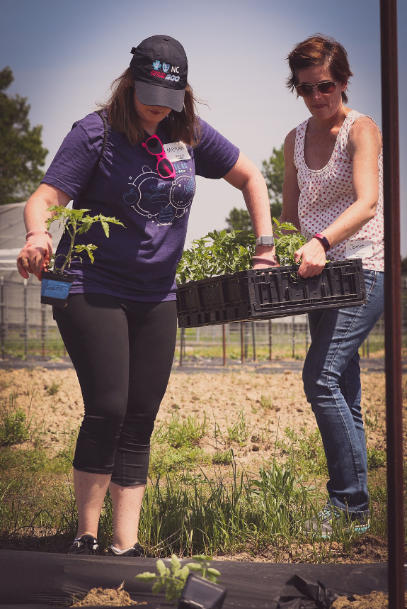 gothrivenc's tweet photo. ICYMI: The @FoodShuttle Farm provides locally grown, chemical-free produce for those in need. Yesterday, @BlueCrossNC employees had the opportunity to volunteer at the Food Shuttle Farm in downtown Raleigh. 

#GoThriveNC | #ServiceSeries https://t.co/LHjLyboXnz