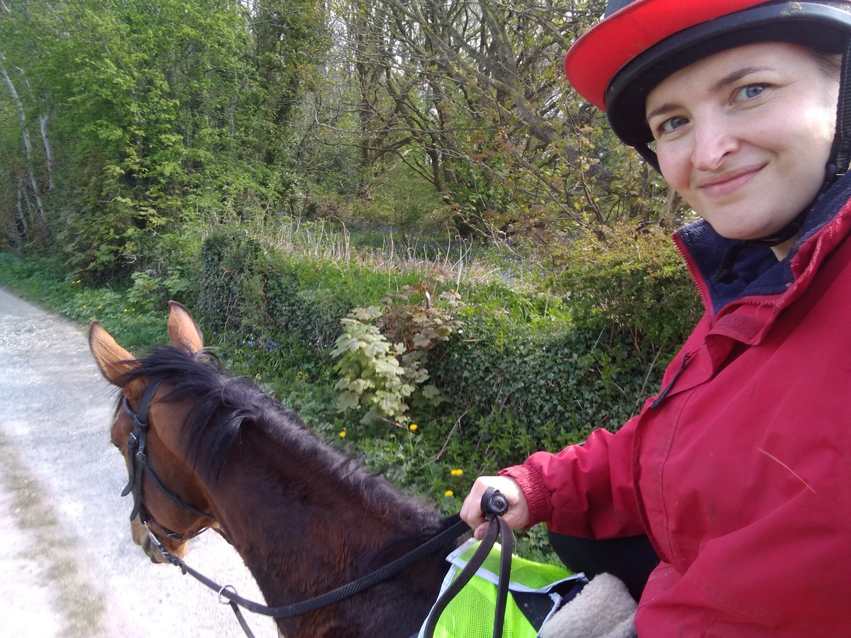 ATeonow's tweet photo. O I needed this today ❤️🐴 #horse #horsetherapy #deepbreath #Hacking https://t.co/KI8kZGYD87