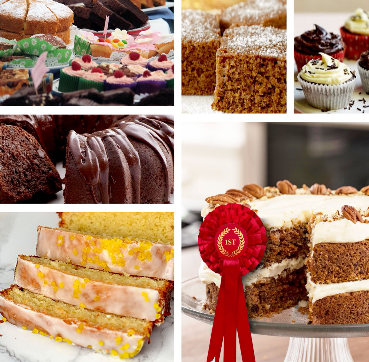 Thank you and well done to everyone who entered the cake competition - it was a joy to judge! Congratulations must go to <a href="/Farmer_Flo1/">Farmer Flo</a> who won first prize for her delicious carrot cake, can't beat home grown 🥕 #MayDayFestival #TorandoSprings