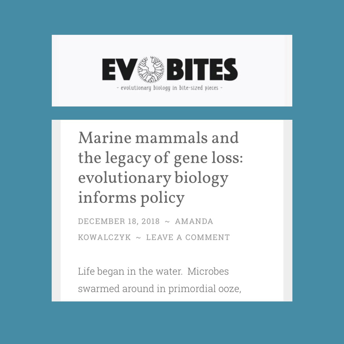 Want to write for us? We are a group of #STEM graduate students making evolutionary biology more accessible. Come check us out!