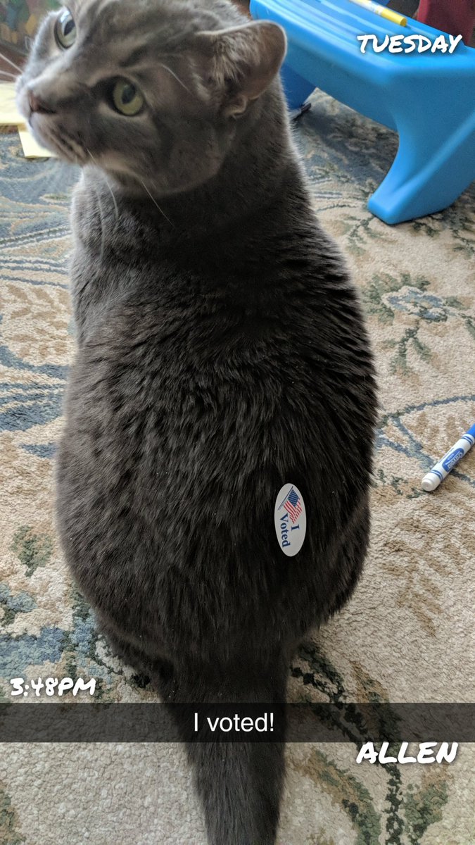 susanpvo's tweet photo. Not too quick with the tweet, but yes, Vorheis voted! @AllenISDSupt @KerrComets #AllenISDVotes https://t.co/M2vnMpE7yK