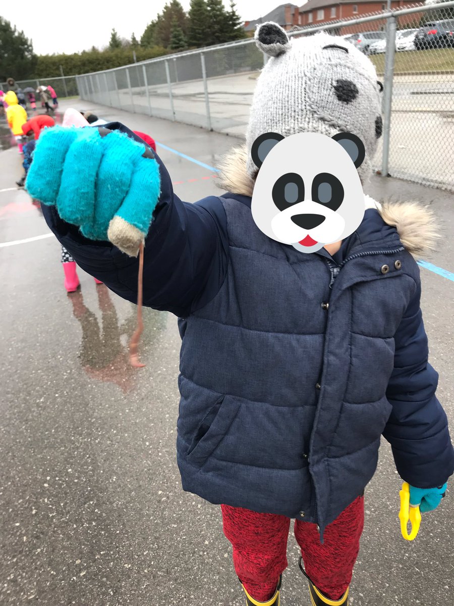 SESKinders's tweet photo. We went on a worm hunt. @rutherfordroad we left you a present on your desk #chickenfood. #outdoorlearning #YRDSBGetOut #YRDSBEarlyYears https://t.co/2FBQTZQded