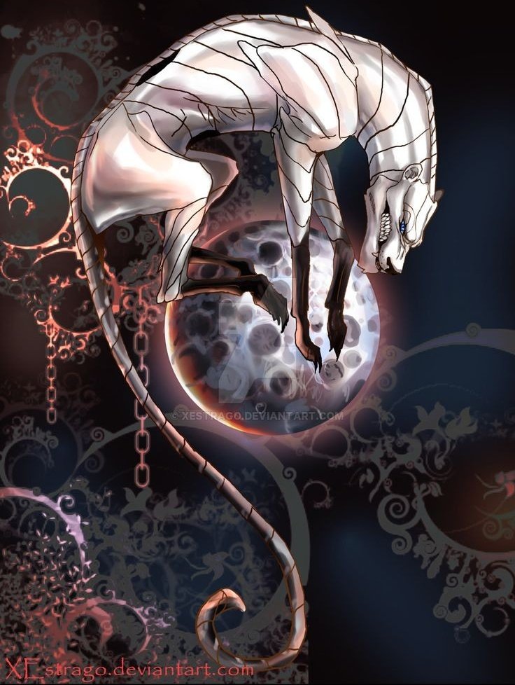 ༻𝖀𝖑𝖖𝖎𝖗𝖆 𝕮𝖎𝖋𝖊𝖗༺ (offline) (@__murcielago__) on Twitter photo 