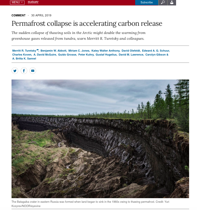 A main message is that the fate of permafrost carbon depends on ground ice. Where ground ice is low, thaw means drier soils & deeper rooting zone -> happy plants. But where ground ice is high, thaw means wetter soils, unstable land, & abrupt change. See:  https://www.nature.com/articles/d41586-019-01313-4