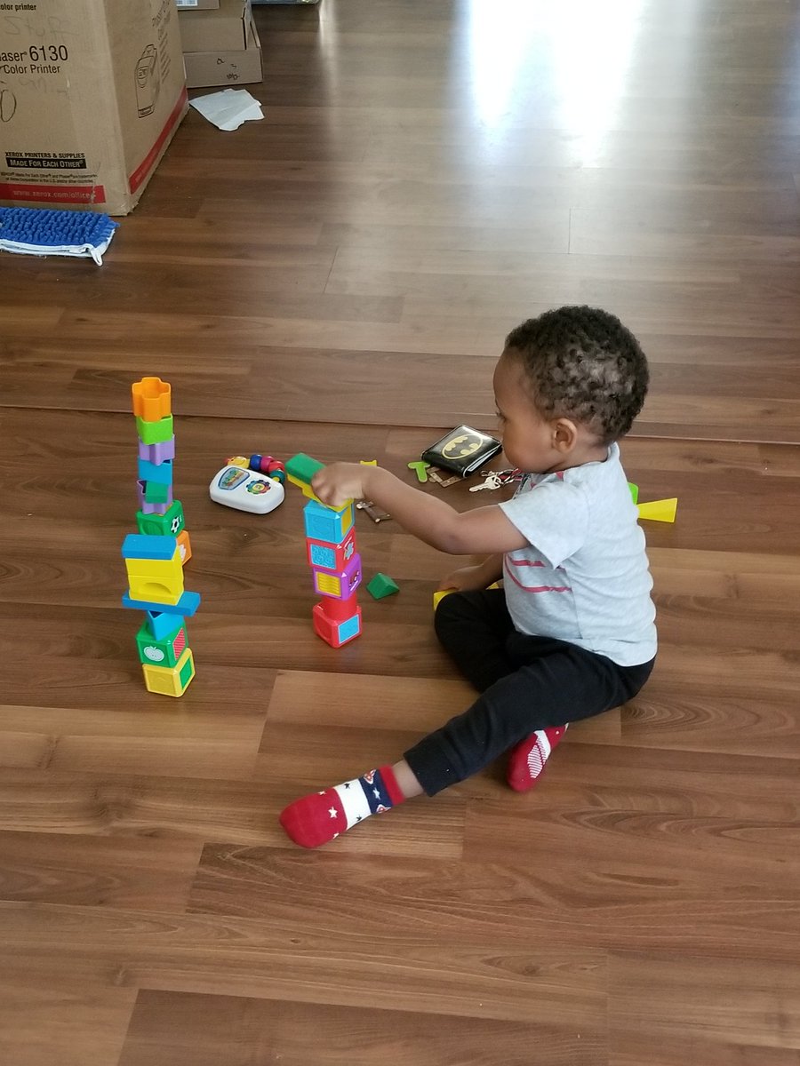 IslandWolf 🐺 tweet media