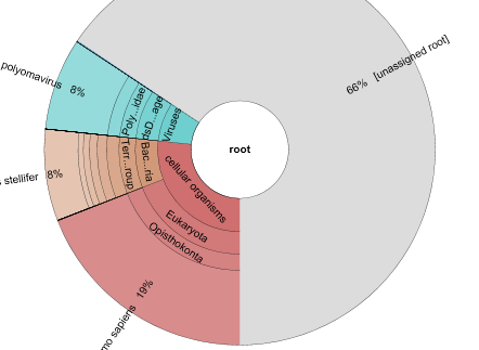 Mariet Feltkamp tweet media