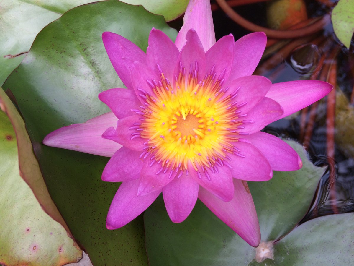 Beth Wyse tweet media