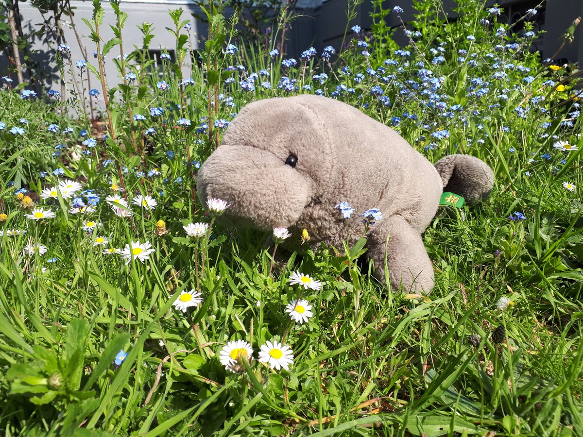 Happy #1May everyone. Enjoy the Sun:3