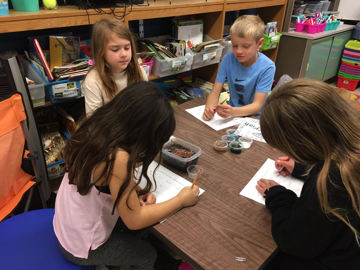Miss Ims shares the sad story of Freddie the Fish whose river was polluted as students investigate the effects of pollution. #112Leads #WeAreSherwood