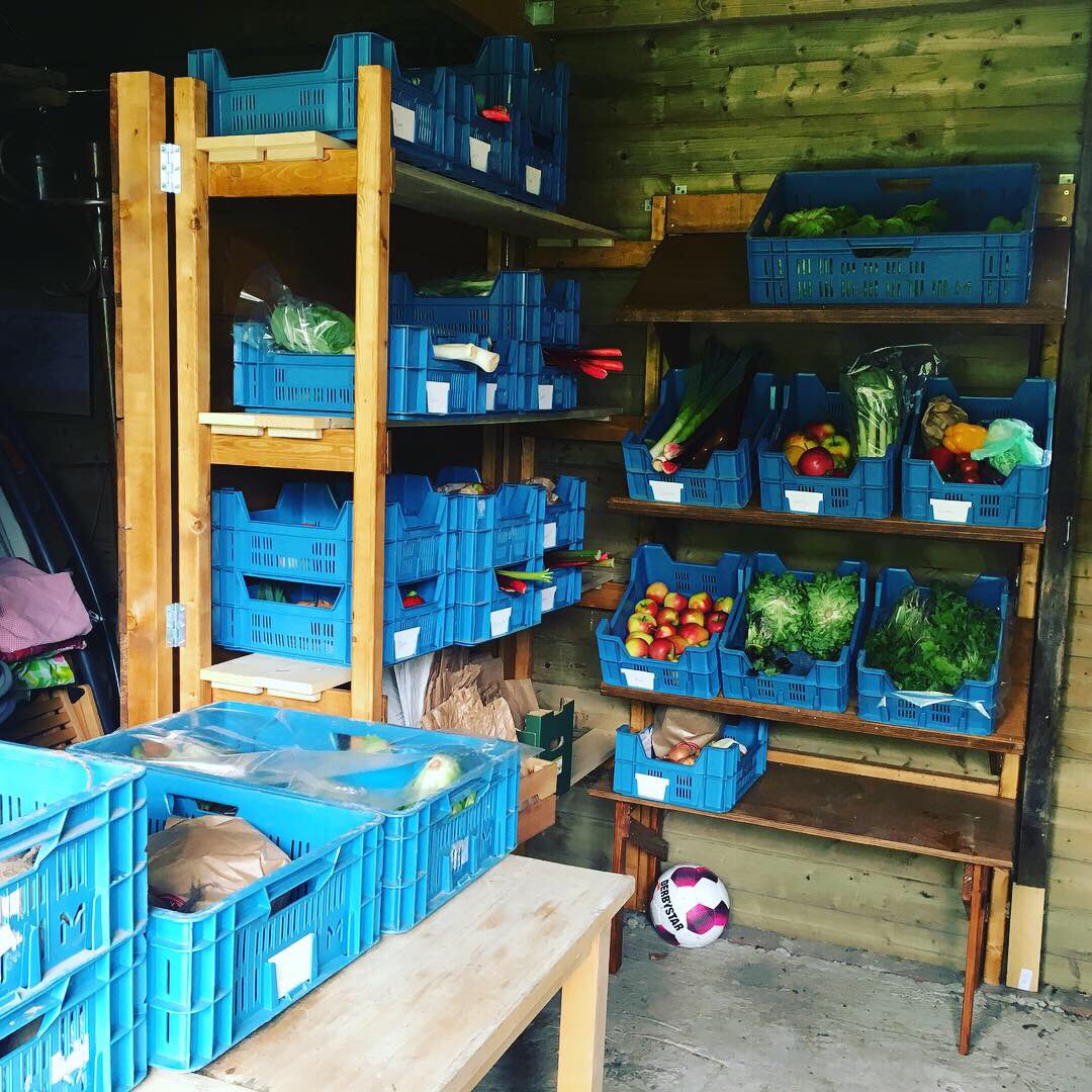Rechtstreex's tweet photo. Woensdagmiddag afhaalmiddag bij #deeikenhof in #landvanvalk #dordrecht! Ook veel #reddezegroterodebiet hier 💪🏼 Wil je ook hier jouw boerenboodschappen afhalen? Schrijf je dan in voor de nieuwsbrief op https://t.co/dcsvDiwhNV https://t.co/dIxeh7fKZC