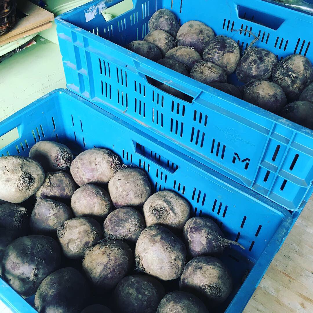 Rechtstreex's tweet photo. Woensdagmiddag afhaalmiddag bij #deeikenhof in #landvanvalk #dordrecht! Ook veel #reddezegroterodebiet hier 💪🏼 Wil je ook hier jouw boerenboodschappen afhalen? Schrijf je dan in voor de nieuwsbrief op https://t.co/dcsvDiwhNV https://t.co/dIxeh7fKZC