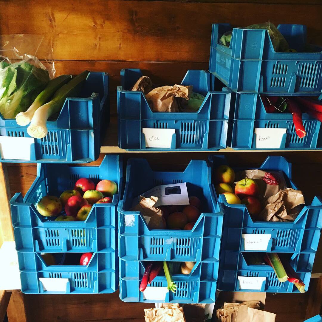 Rechtstreex's tweet photo. Woensdagmiddag afhaalmiddag bij #deeikenhof in #landvanvalk #dordrecht! Ook veel #reddezegroterodebiet hier 💪🏼 Wil je ook hier jouw boerenboodschappen afhalen? Schrijf je dan in voor de nieuwsbrief op https://t.co/dcsvDiwhNV https://t.co/dIxeh7fKZC