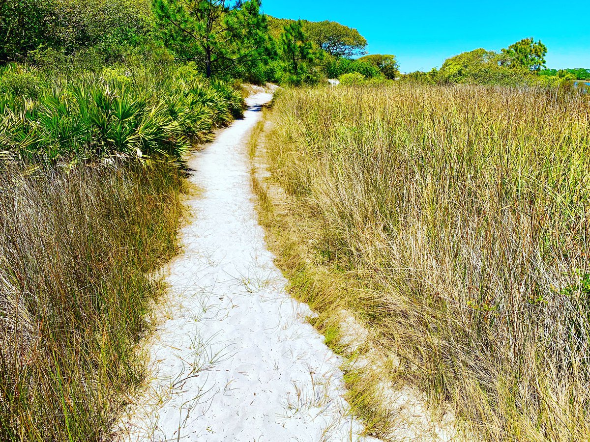 GingersDestinCo's tweet photo. @graytonbeachstatepark you can hike around Western Lake  to get a closer look at a salt marsh ecosystem! #dunelake #statepark #GingersDestinConnection #Realestate #sellingthedream #sandestin #destin #30a #emeraldcoast #lovewhereyoulive  #beachlife🌴 https://t.co/duuS0pPrjw https://t.co/tdj95XQtSW