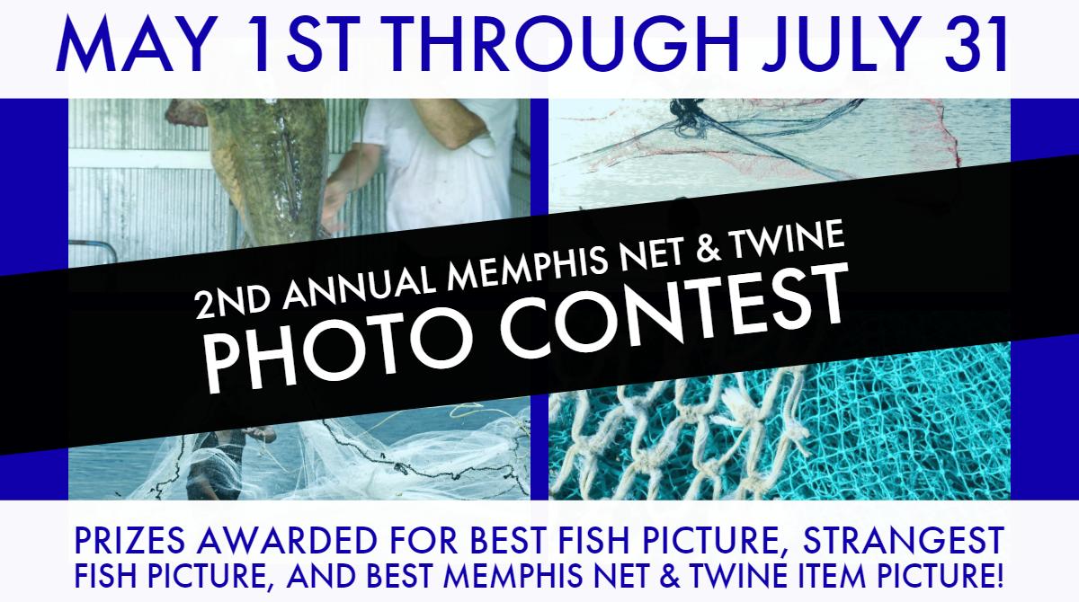 MemphisNet's tweet image. Submit your photos with the hashtag #memphisnet