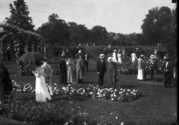 #ElizabethPark in #Hartford is home to the nation's oldest public rose garden. This is from our collection of glass negatives. #ArchivesHashtagParty #ArchivesInBloom #hartfordhistory <a href="/ElizabethParkCT/">Elizabeth Park CT</a>