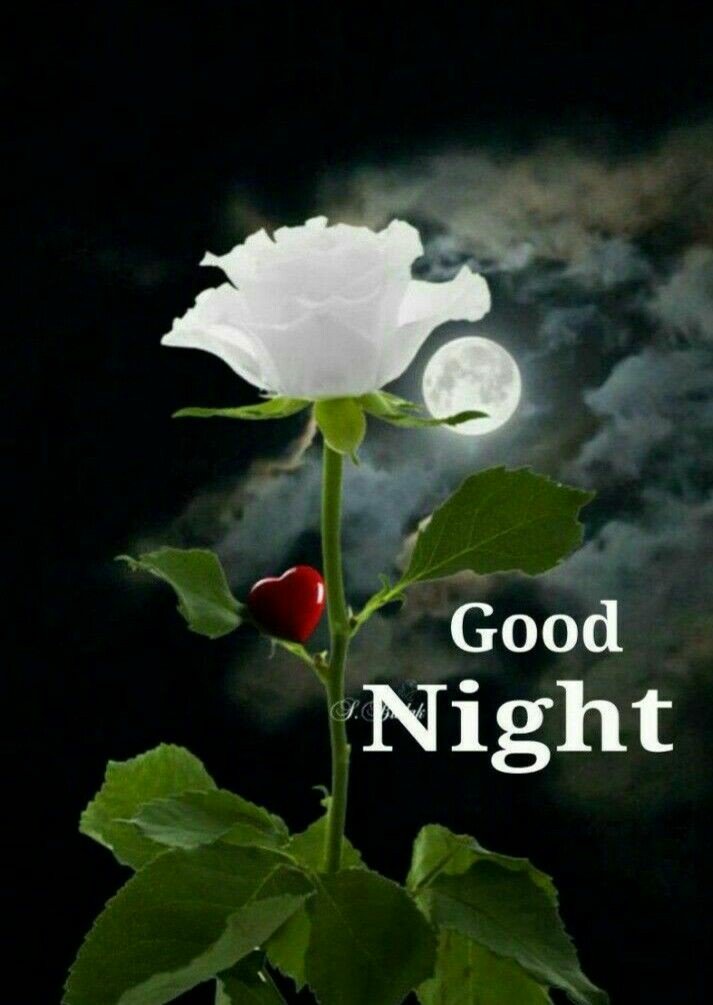 <a href="/RajkumarSivaka4/">Rajkumar, Sivakasi,</a> <a href="/NoemRosales3/">Noemí Rosales</a> <a href="/narendramodi/">Narendra Modi</a> <a href="/GiaVazquez5/">Gia Vazquez</a> <a href="/Ligia1712M/">Gia 🅰️</a>