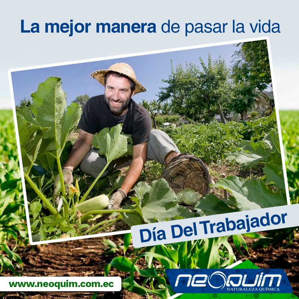 neoquim_ec's tweet photo. Felicitaciones a todos esos ganaderos y agricultores que ponen un granito de esfuerzo en nuestra tierra. 

#Neoquim #Ecuador #DiaDelTrabajador #Campo https://t.co/yoOmwFFda8