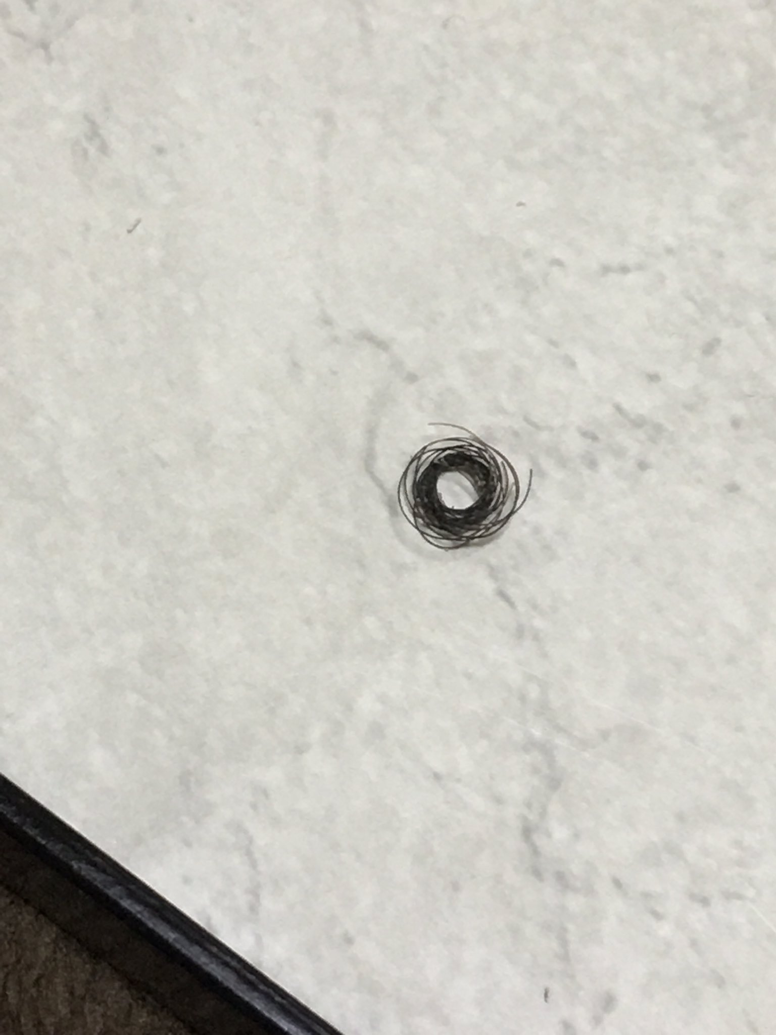 ガミちゃん 令和元年初日 ほっぺたの黒いクレーターがついに噴火 でてきたのはヒゲー しかもぐるぐる巻き巻きヒゲー ゾッとするリティーー これぞ日本一級 探偵ナイトスクープに依頼だったかなー 何年埋もれてたのかね 髭 埋没毛 埋れ毛