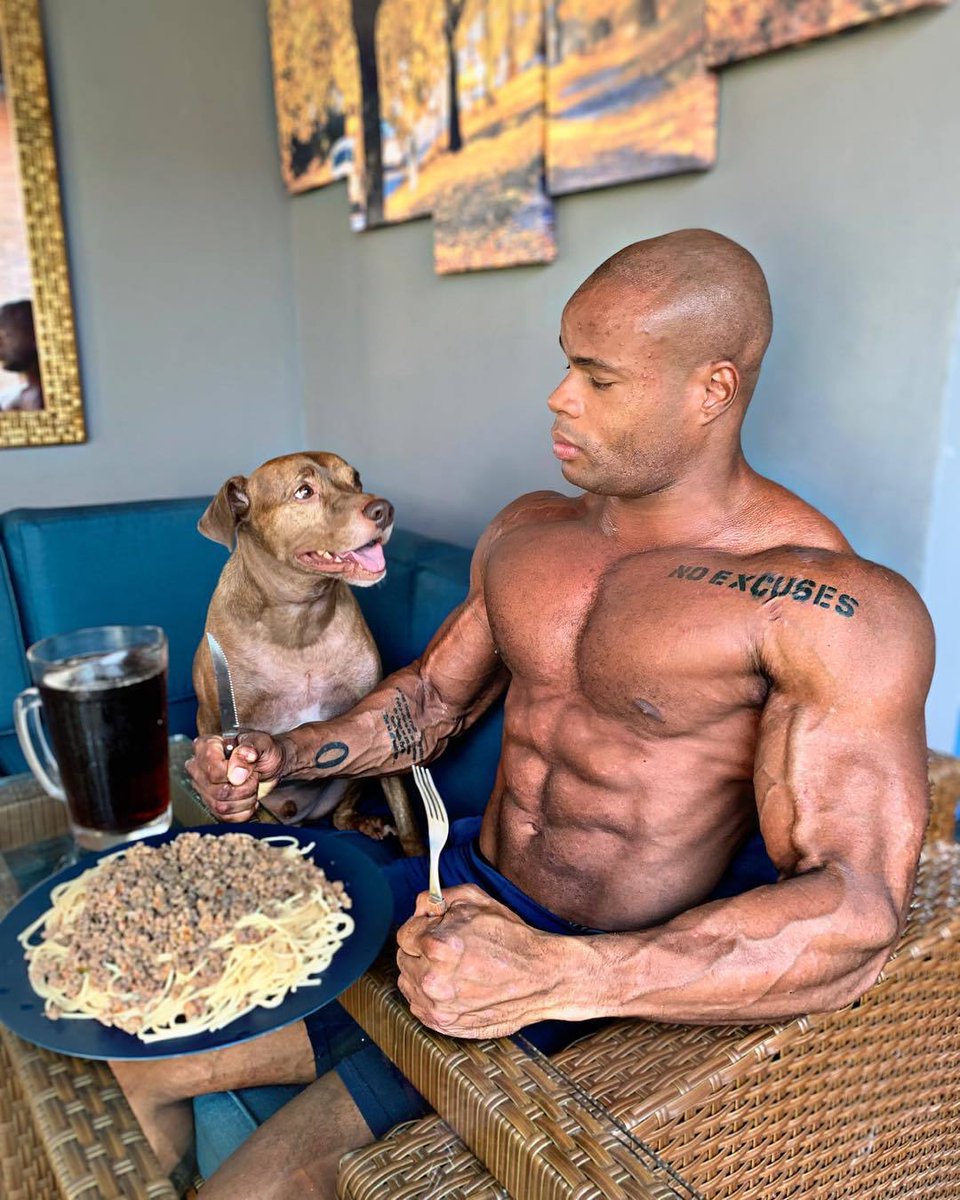 MsculoProgress1's tweet image. A esperança é um alimento da nossa alma, ao qual se mistura sempre o veneno do medo. 💪💪

😱 Agora estamos com um blog com muito conteúdo informativo, além de dicas incríveis e muitos bônus gratuitos para nossos seguidores, acesse;

👉 musculoeprogresso.com  👈

#nopainnogain