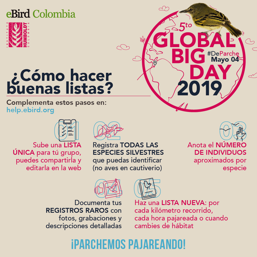 inst_humboldt's tweet photo. Siguiendo estos 5 pasos conseguirás que las listas que hagas durante el #GlobalBigDay contribuyan mejor al conocimiento y conservación de las más de 1,900 especies de aves que viven en Colombia. Anímate a participar y ¡vámonos #DeParche! https://t.co/WQViesRZeI