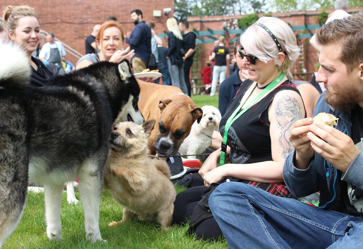 Rare doggos Akeera, Ti, George and Bailey and some humans